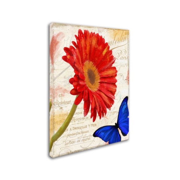 Color Bakery 'Gerbera Daisy' Canvas Art,18x24